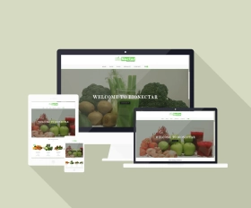 bionectar website - online store