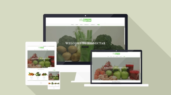 bionectar website - online store